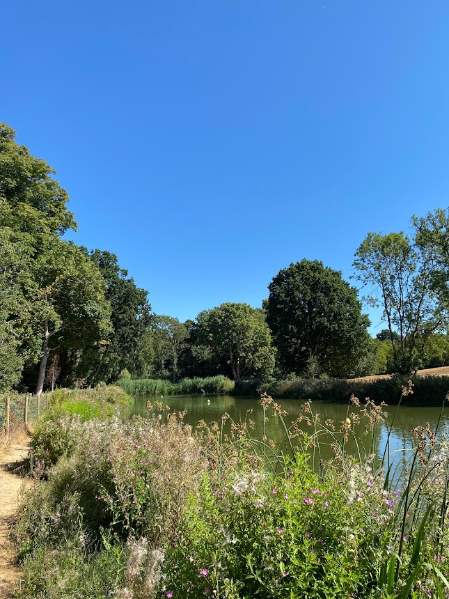 Beckenham Place Park Pond