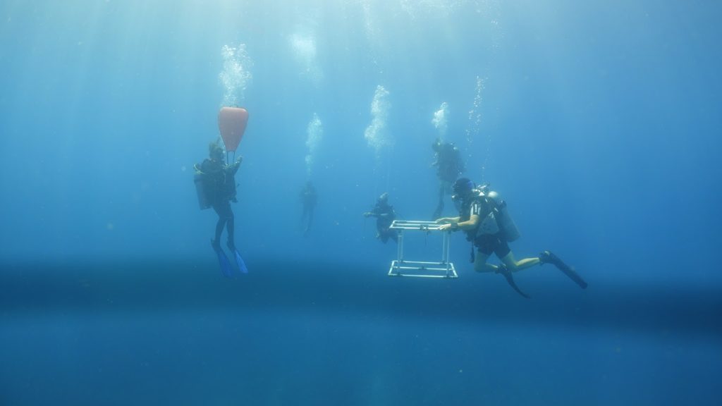 Conducting a BRUV during a dive - divemaster with IOP