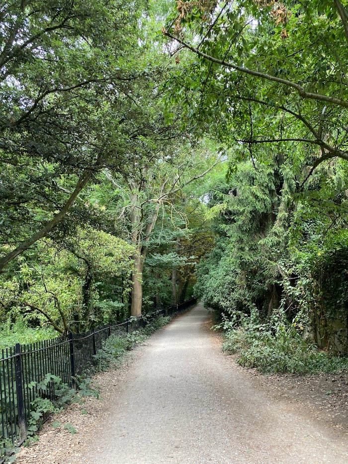 The walk to Hampstead Heath Ponds