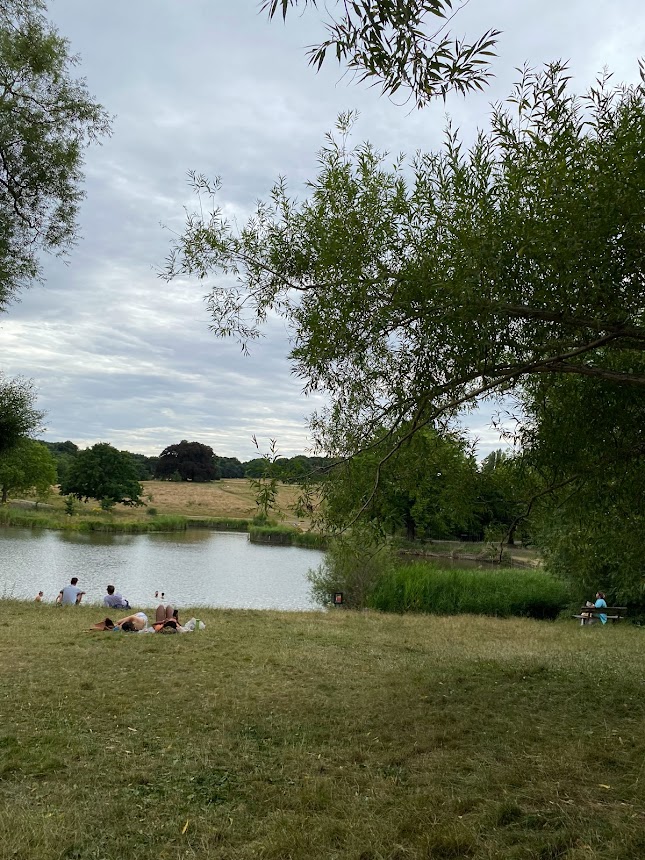 A pond in Hampstead Heath