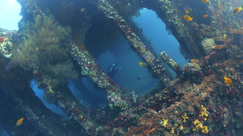 Inside the Liberty Wreck - Diving in Amed