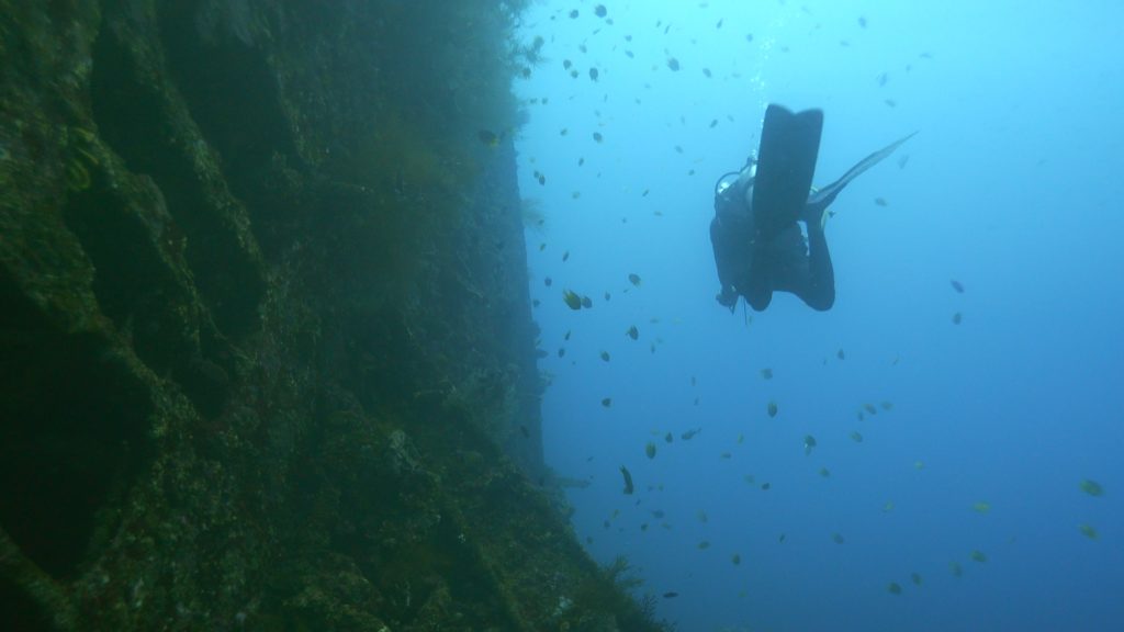 Liberty Wreck - Diving in Amed