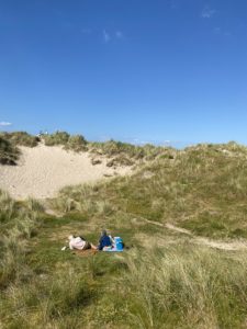 The dunes in Rossbeigh Strand, Co. Kerry