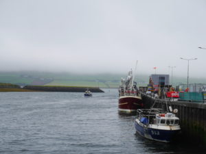 Dingle harbour